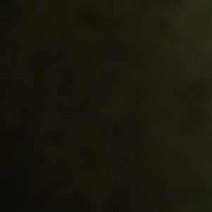 Meet your Posher, Mel